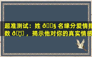 超准测试：姓 🐧 名缘分爱情指数 🦁 ，揭示他对你的真实情感